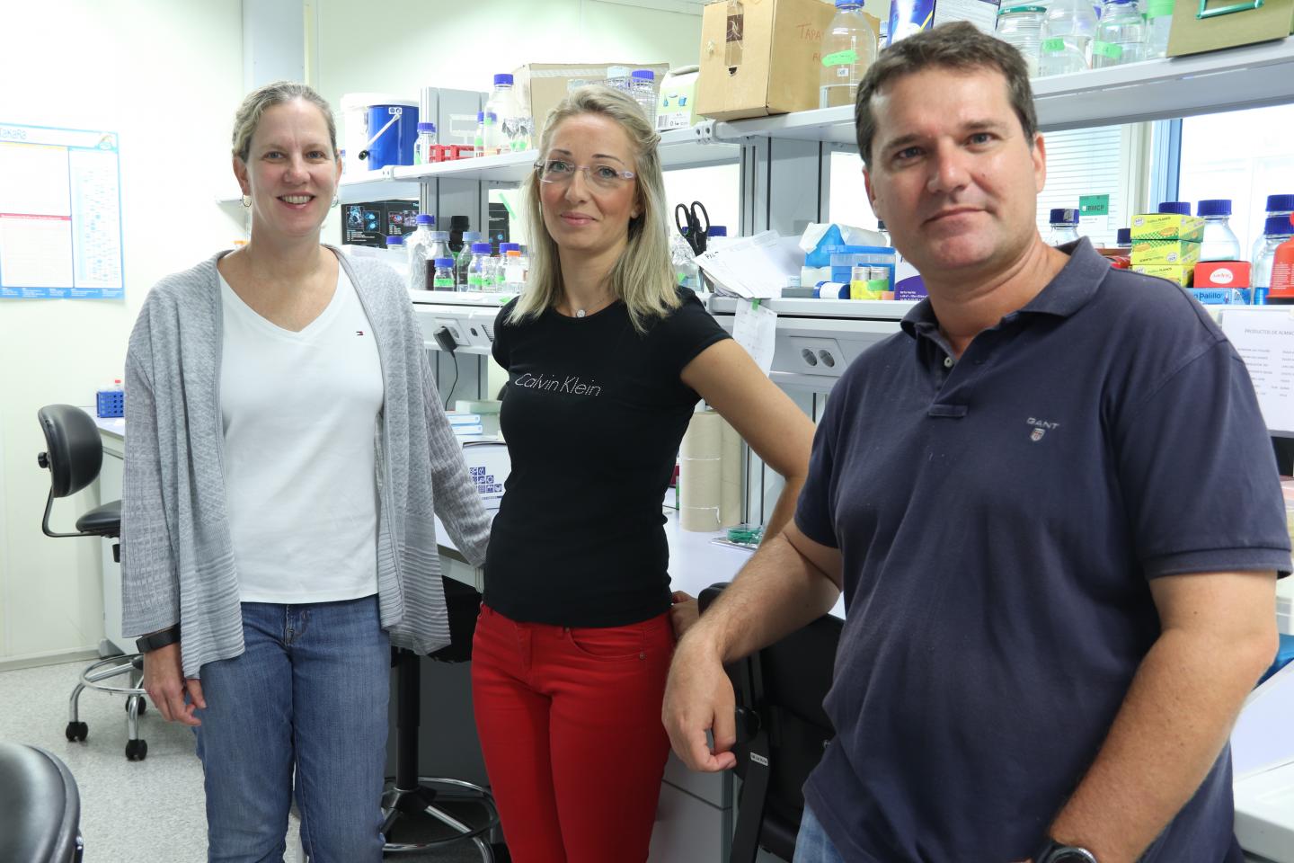 Researchers of the Universitat Politècnica De València