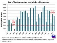 Size of Bottom-Water Hypoxia in Mid-Summer