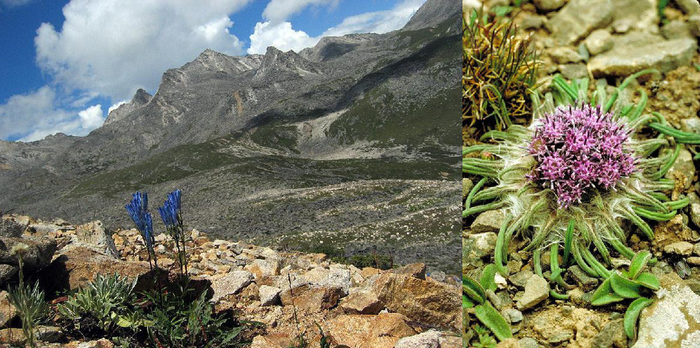 Himalaya-Hengduan Region