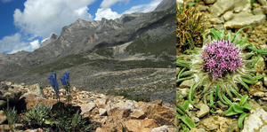 Himalaya-Hengduan Region