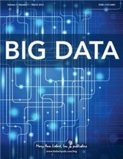 <i>Big Data</i>