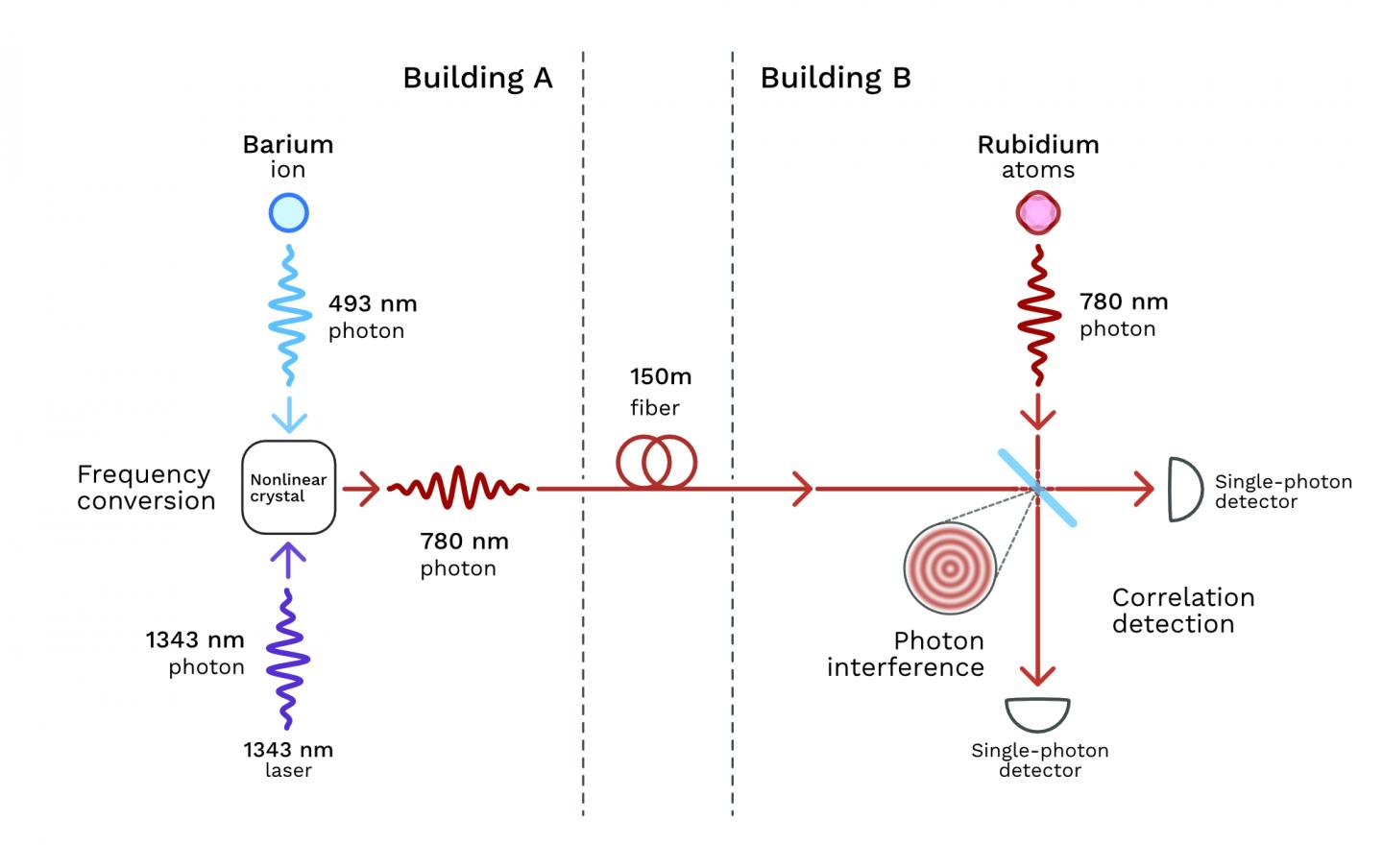 Schematic of a NIST Interference Experiment