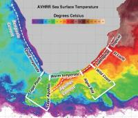 Marine Temperature Currents