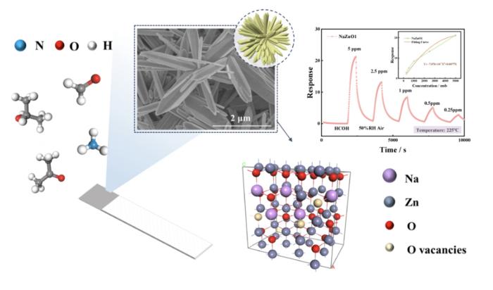 Urchin-like Na-doped zinc oxide nanoneedles for detecting lung cancer biomarkers