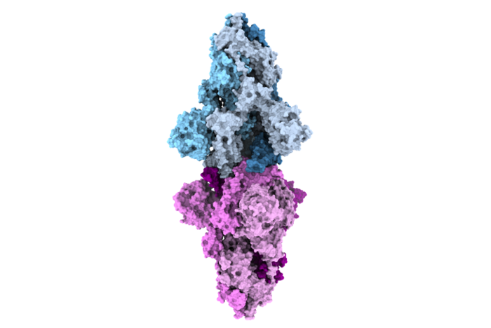 Kappa variant spike proteins