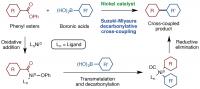 Suzuki-Miyaura Decarbonylative Cross-Coupling Reaction