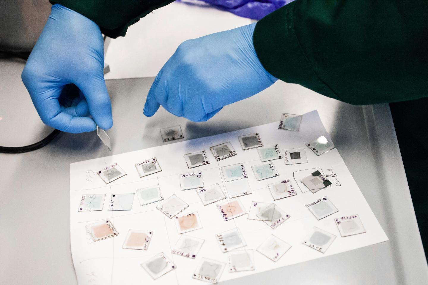 Lithuanian Scientists' Novel Approach to Perovskite Solar Cells (1 of 2)