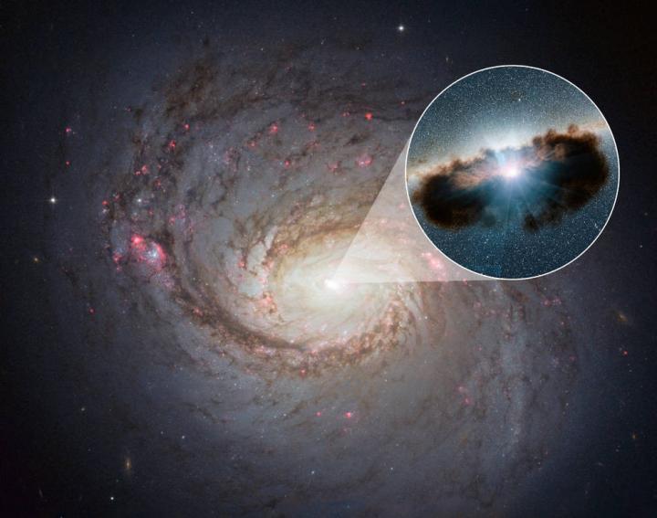 Galaxy NGC 1068