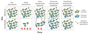 Active and dormant soil bacteria