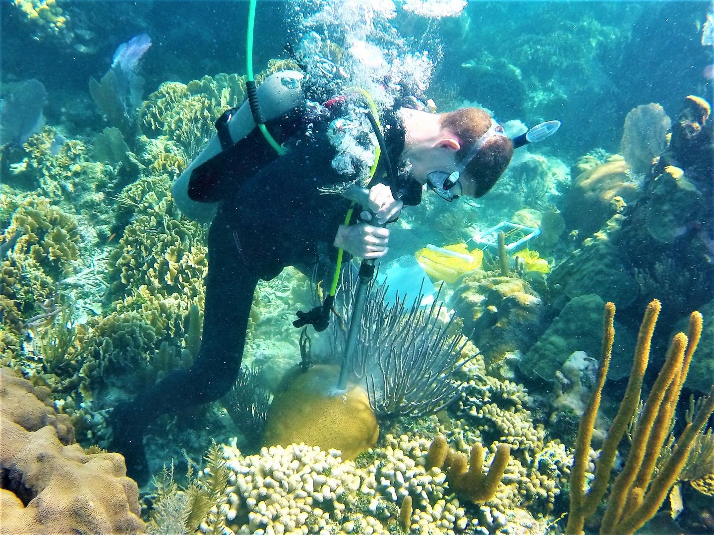 Justin Baumann Drills a Coral Core in Belize