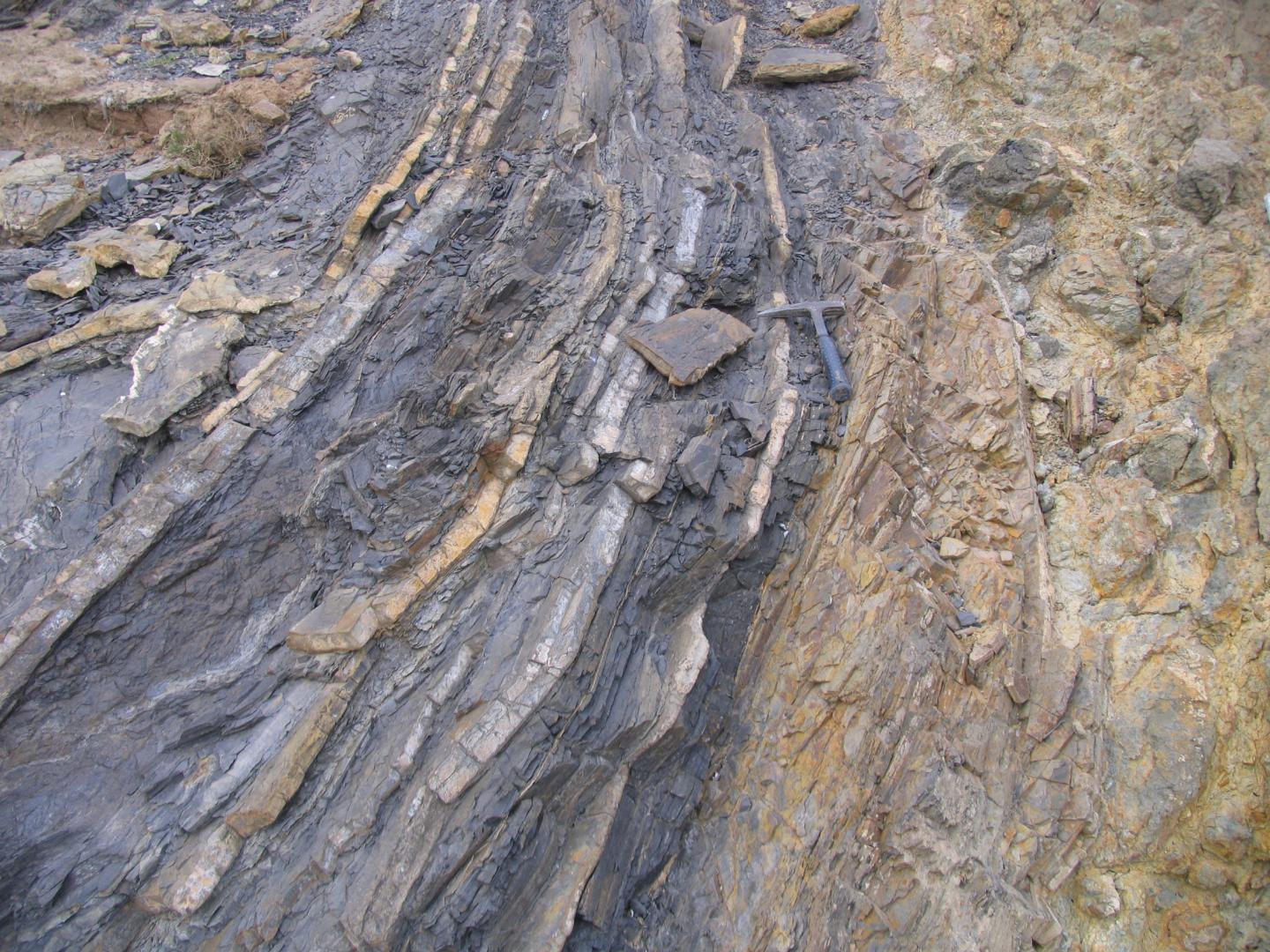 Outcrop Photos of the Permian-Triassic Boundary Interval at Penglaitan