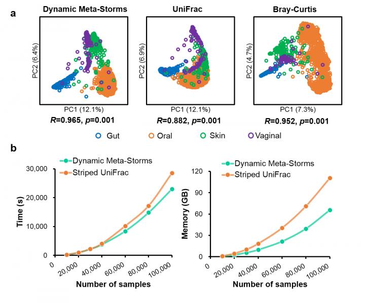 Performance of Dynamic Meta-Storms in Comparing Shotgun Metagenomes at the Species Level