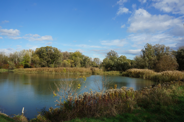 Alluvial landscape