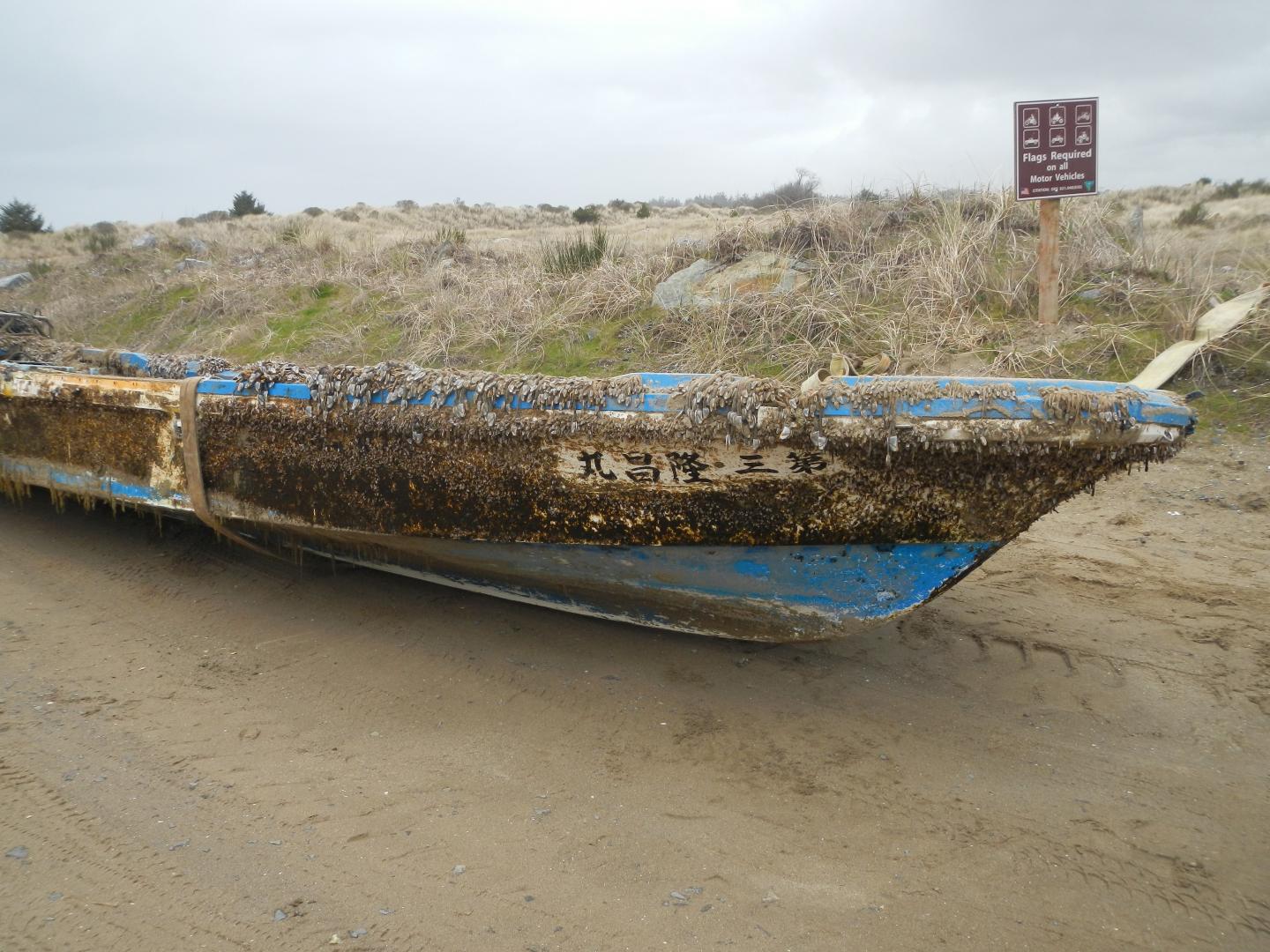 How One Tsunami and Lots of Manmade Debris are Triggering a Mass Marine Migration (11 of 12)