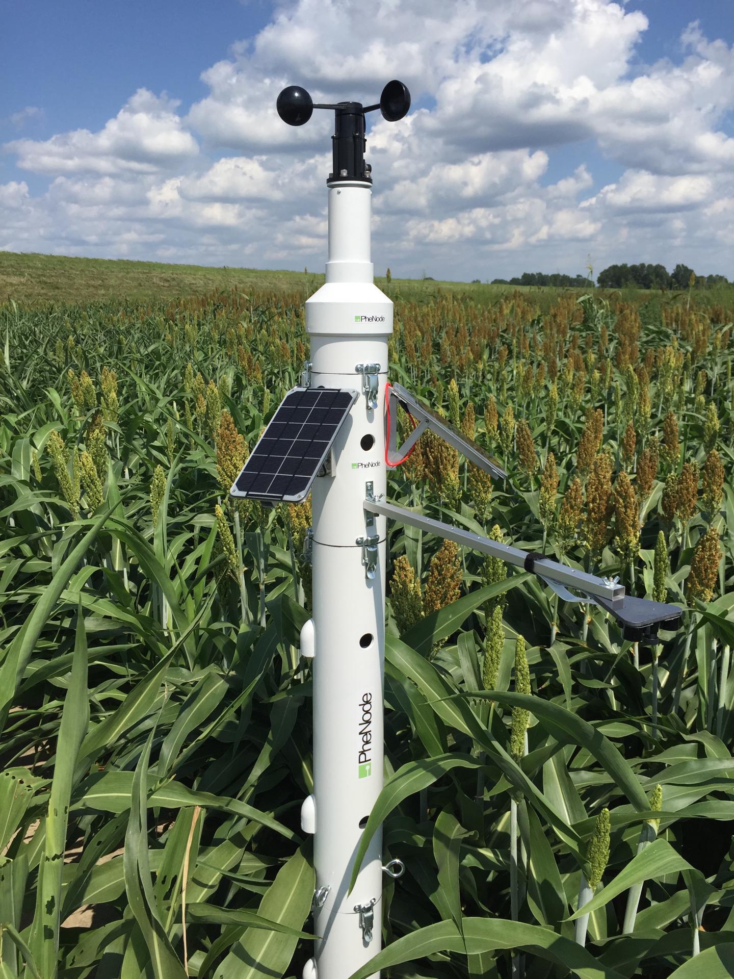 The PheNode in the Field for Farmers