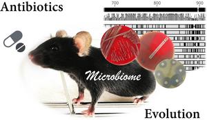 Gut microbiome_Stecher_McHardy_MvP_LMU_cr