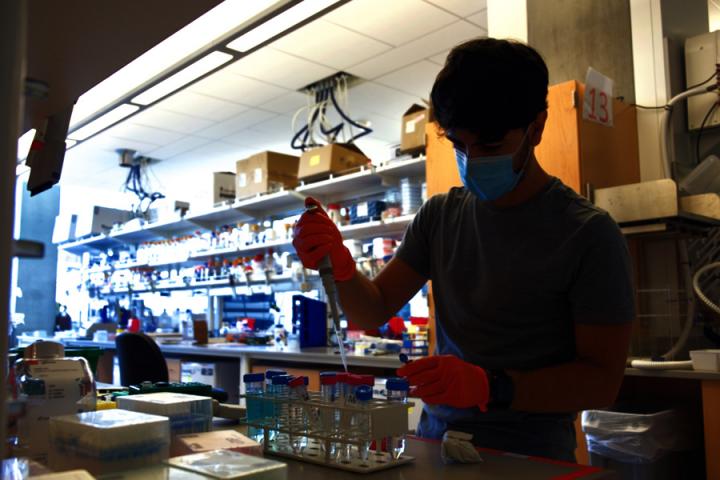 Alfredo Quijano-Rubio UW Medicine Institute for Protein Design