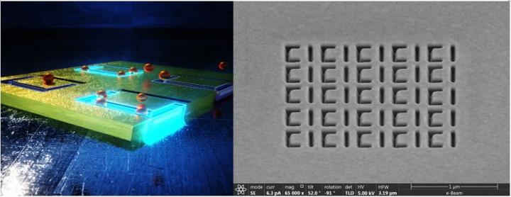 The Nanoparticle Trapping Device