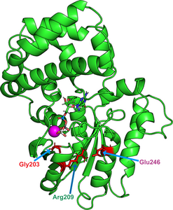 Zinc could treat a rare genetic disorder