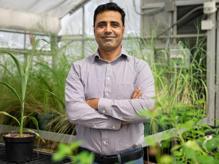 Abdul Latif Khan, assistant professor of biotechnology at the University of Houston Cullen College of Engineering Technology Division