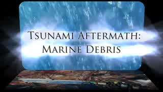 Tsunami Aftermath: Marine Debris
