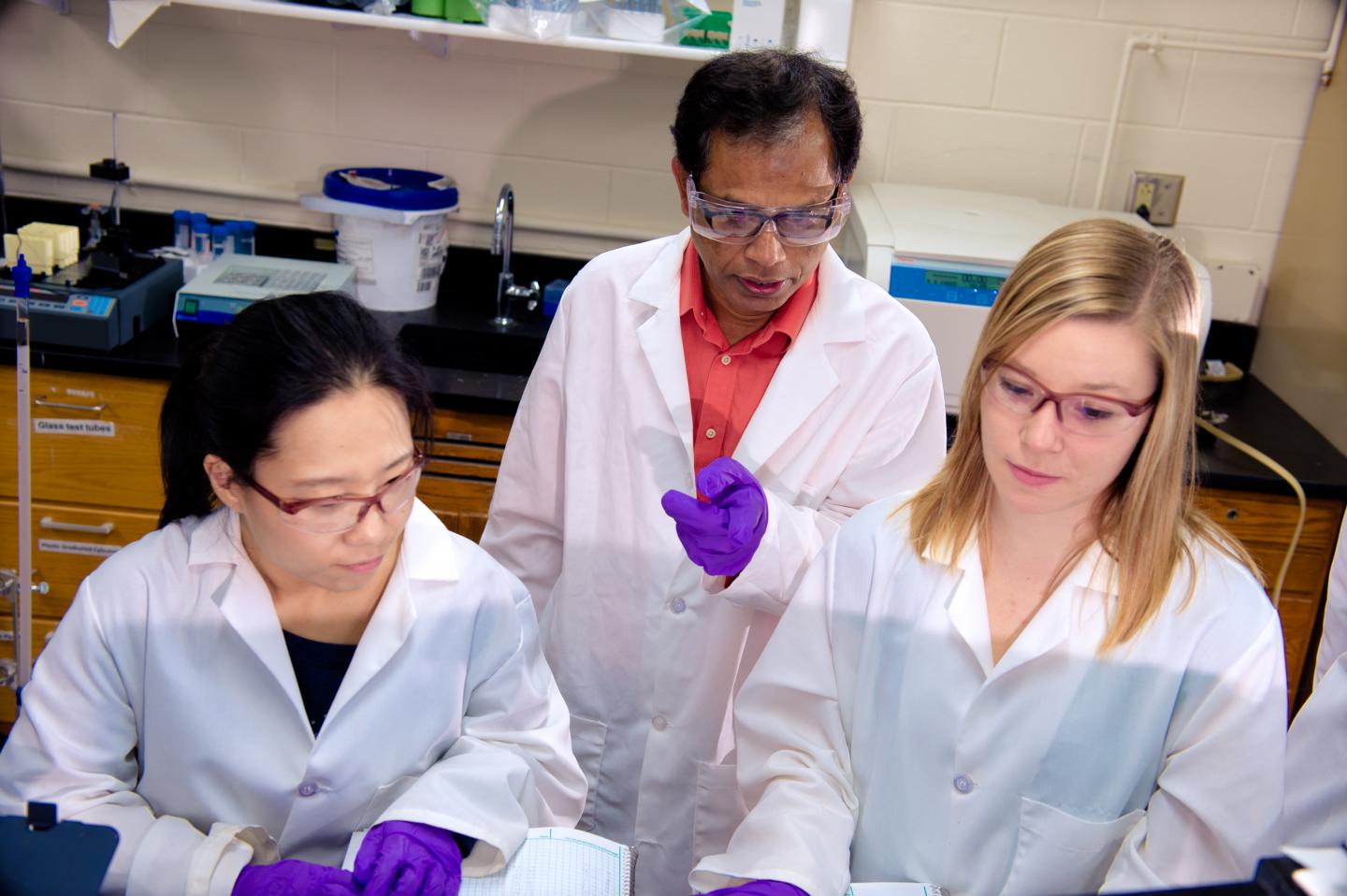 Tarun Dam, Ni Fan and Melanie Talaga, Michigan Technological University