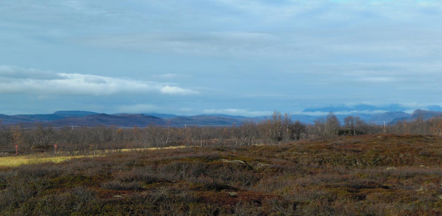 Sampling Site in Kilpisjärvi, Finnish Lapland