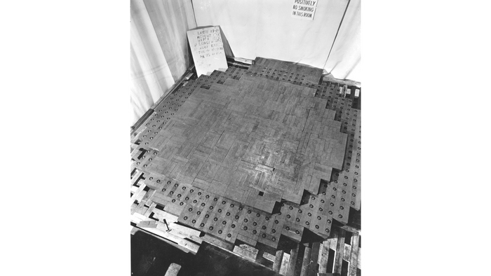 Cp 1 reactor IMAGE EurekAlert Science News Releases