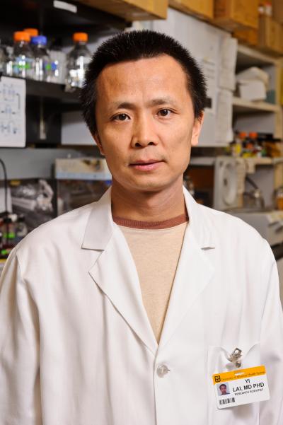 Yi Lai, University of Missouri School of Medicine