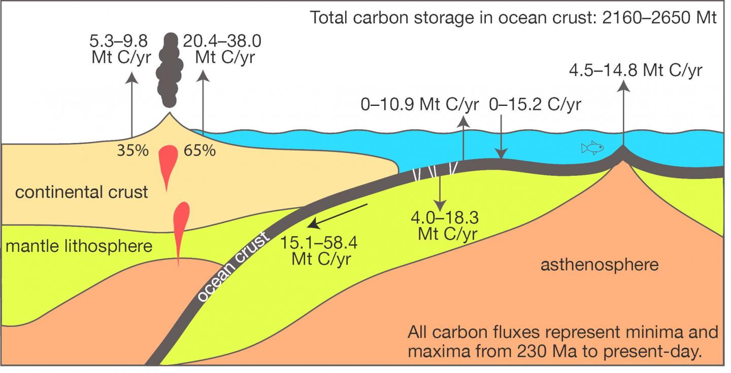 Slow Carbon Cartoon