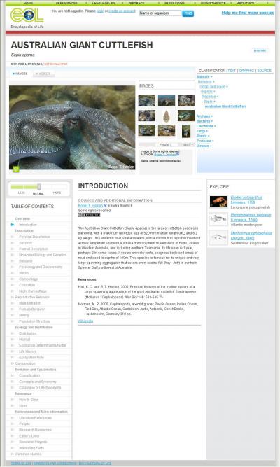 Encyclopedia of Life Sample Page