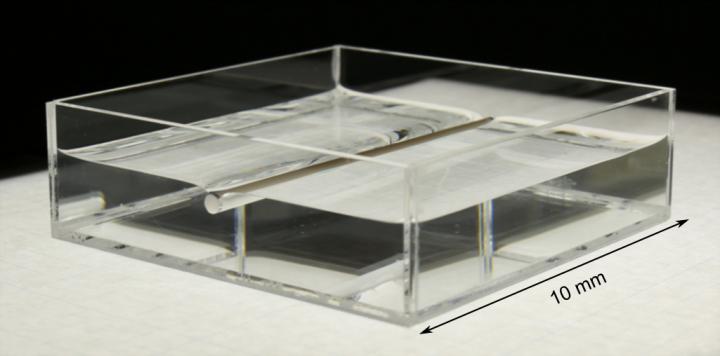 The Simple Device Used to Build A Model for Calculating the Forces From Surface Tension Acting on th