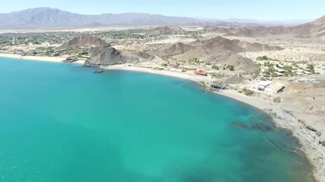 Video from VaquitaCPR Conservation Project