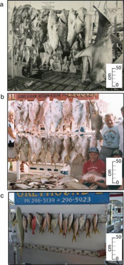 Trophy Fish Caught on Key West Charter Boats