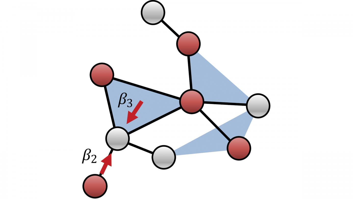 Illustration of how infected individuals (red) work together to infect healthy individuals (gray).