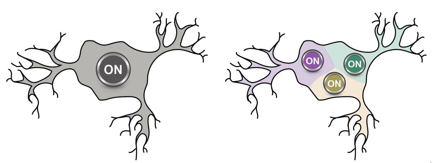 Neuron Model