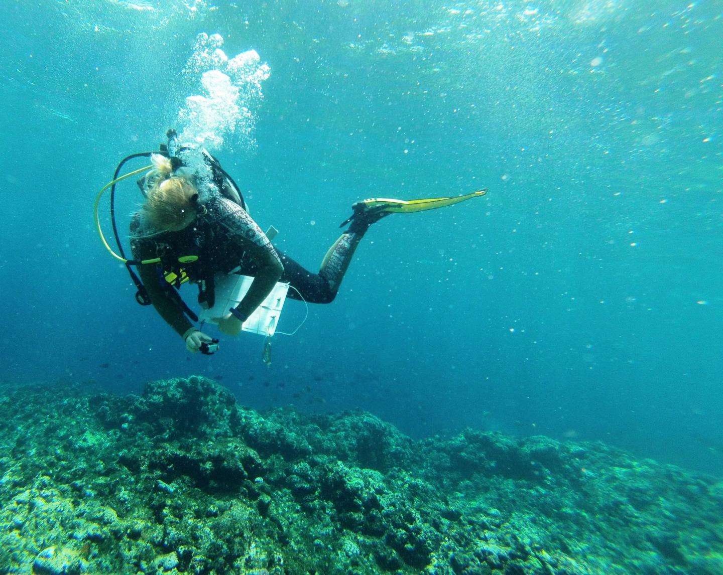 Lead-author Eva McClure During the Study
