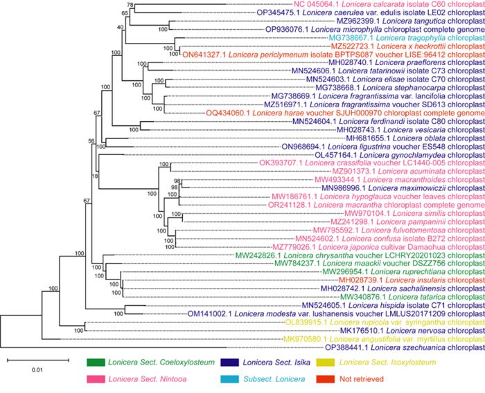 Fig.2