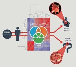 Researchers Find Molecular Link Behind Aspirin's Protective Powers
