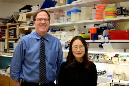 Dr. Philip Shaul and Dr. Chieko Mineo, UT Southwestern