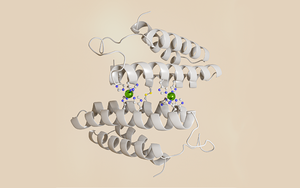 Metalloprotein