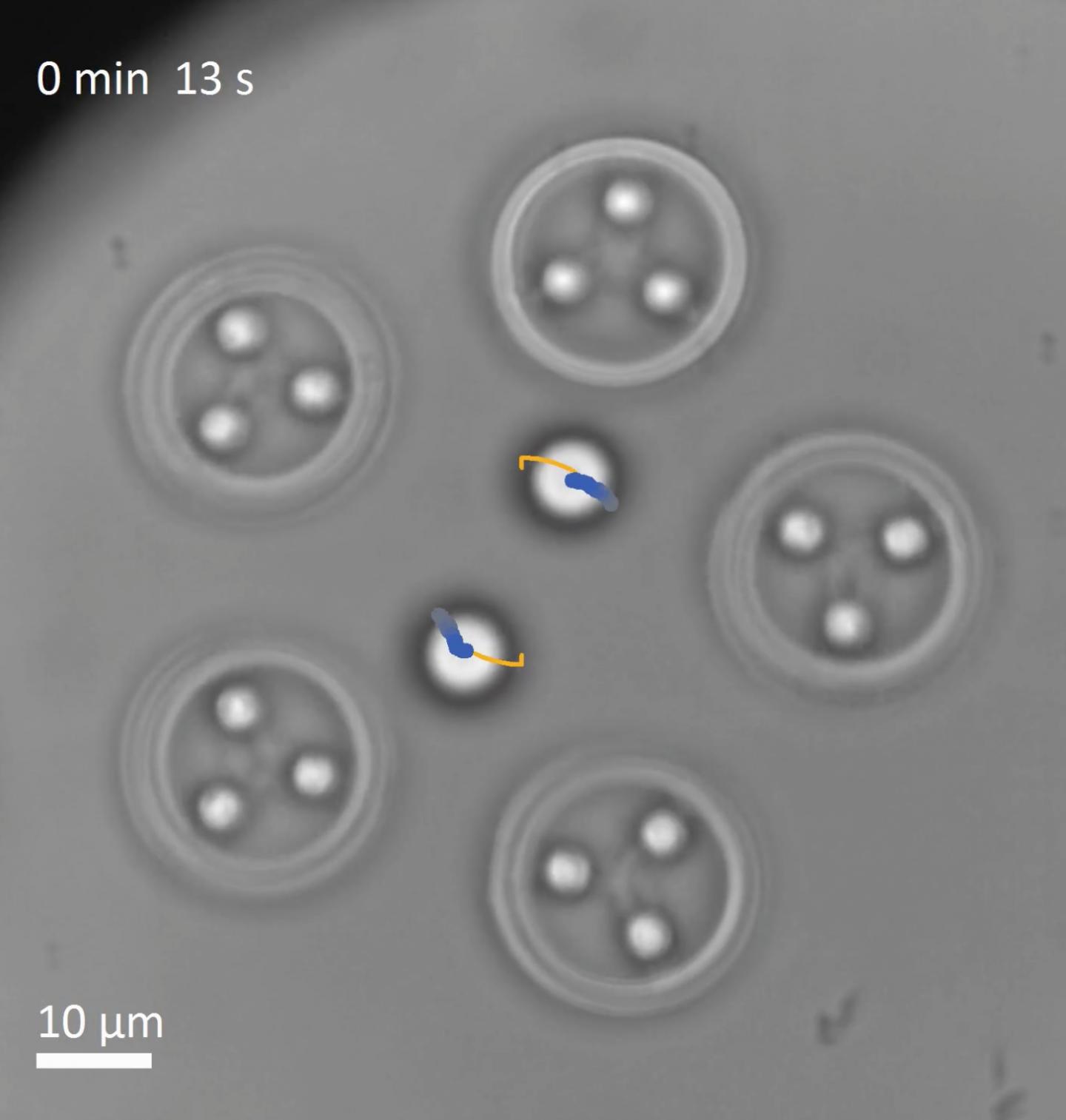 Optically Trapped Rotors 