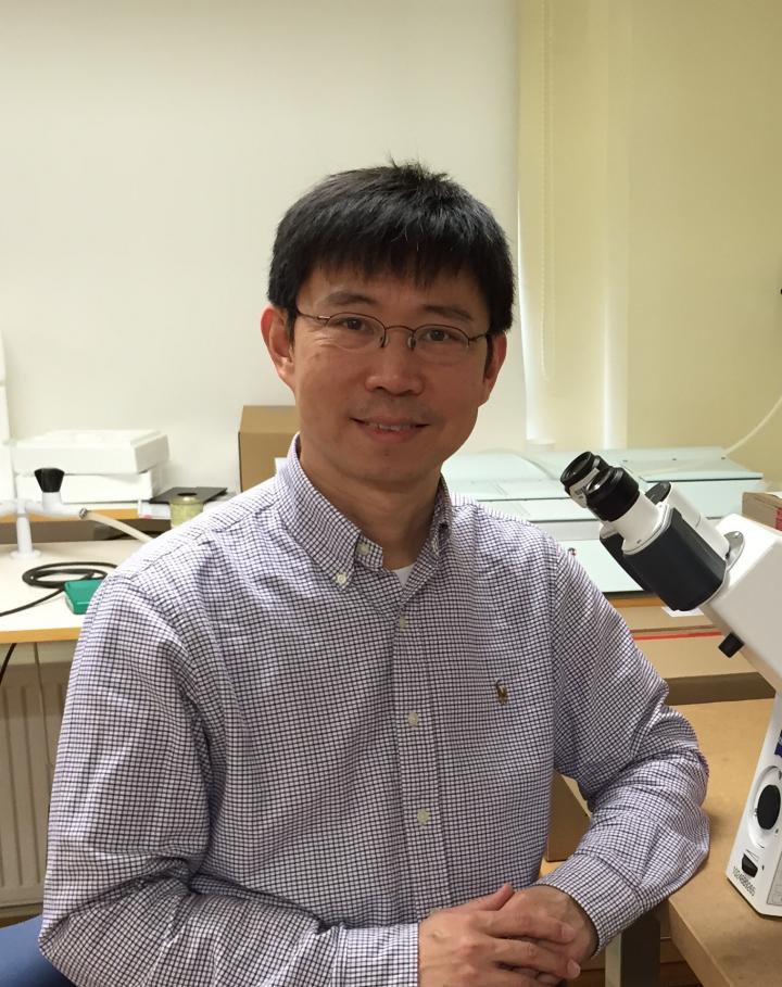 Kui Liu, University of Gothenburg