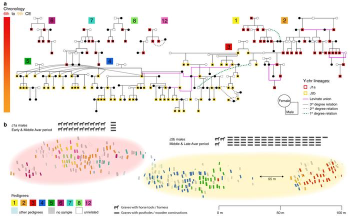 Interconnected Pedigrees