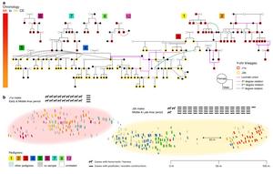 Interconnected Pedigrees