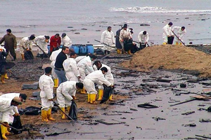 Deepwater Horizon Beach Cleanup