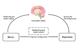 The associations between HbA1c, grey matter volume, and depression