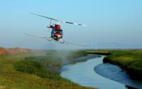 Helicopter Spraying Herbicide To Eradicate Invasive Spartina in San Francisco Bay