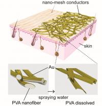 Application of Nanomesh Conductors to Skin Surface