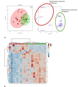 Researchers use metabolomic analysis to diagnose DM even after death, calling for the technique’s use in forensic analysis